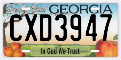 GA license plate CXD3947