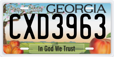 GA license plate CXD3963