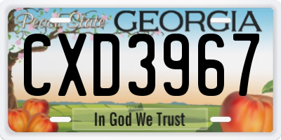 GA license plate CXD3967