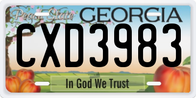GA license plate CXD3983