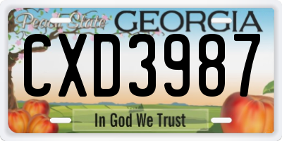 GA license plate CXD3987