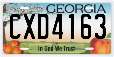 GA license plate CXD4163