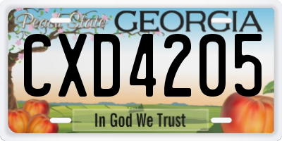 GA license plate CXD4205