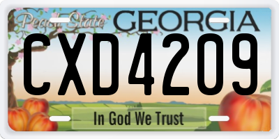 GA license plate CXD4209