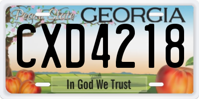 GA license plate CXD4218