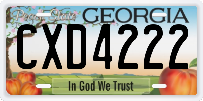 GA license plate CXD4222