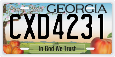 GA license plate CXD4231