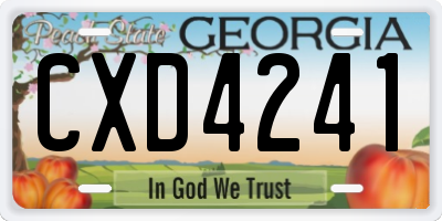 GA license plate CXD4241