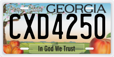 GA license plate CXD4250