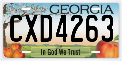 GA license plate CXD4263