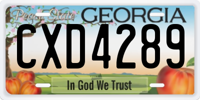 GA license plate CXD4289