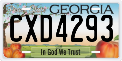 GA license plate CXD4293