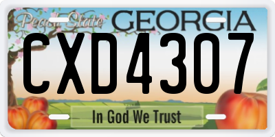 GA license plate CXD4307