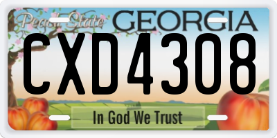 GA license plate CXD4308