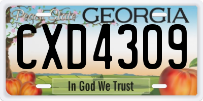 GA license plate CXD4309