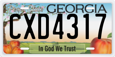 GA license plate CXD4317