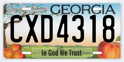GA license plate CXD4318