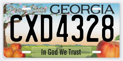 GA license plate CXD4328