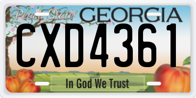 GA license plate CXD4361