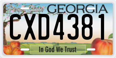 GA license plate CXD4381