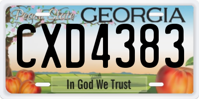 GA license plate CXD4383