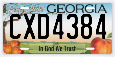 GA license plate CXD4384