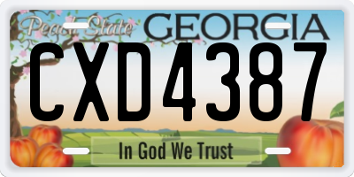 GA license plate CXD4387