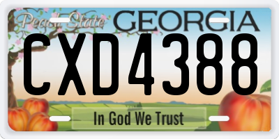 GA license plate CXD4388