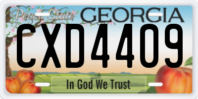 GA license plate CXD4409