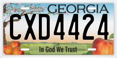 GA license plate CXD4424