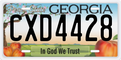 GA license plate CXD4428