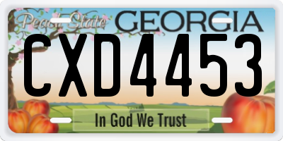 GA license plate CXD4453