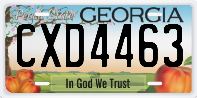 GA license plate CXD4463