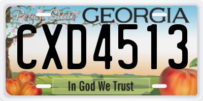 GA license plate CXD4513