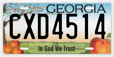 GA license plate CXD4514