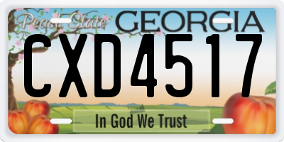 GA license plate CXD4517