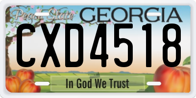 GA license plate CXD4518