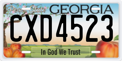 GA license plate CXD4523