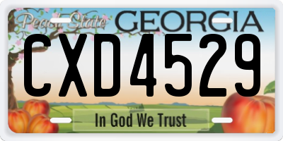 GA license plate CXD4529