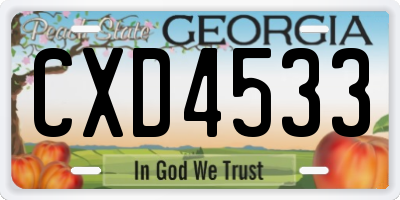 GA license plate CXD4533