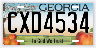 GA license plate CXD4534