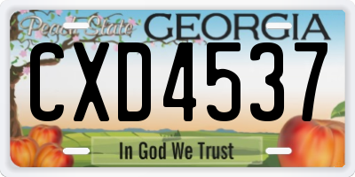 GA license plate CXD4537