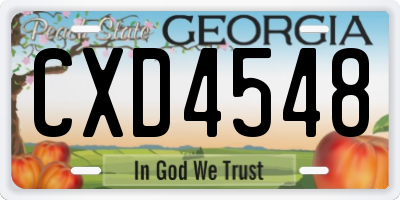 GA license plate CXD4548