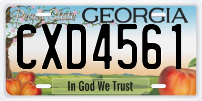GA license plate CXD4561
