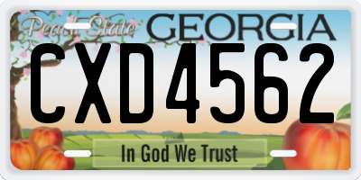 GA license plate CXD4562