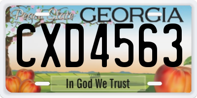 GA license plate CXD4563