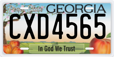 GA license plate CXD4565