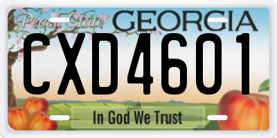 GA license plate CXD4601