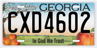 GA license plate CXD4602