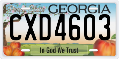 GA license plate CXD4603